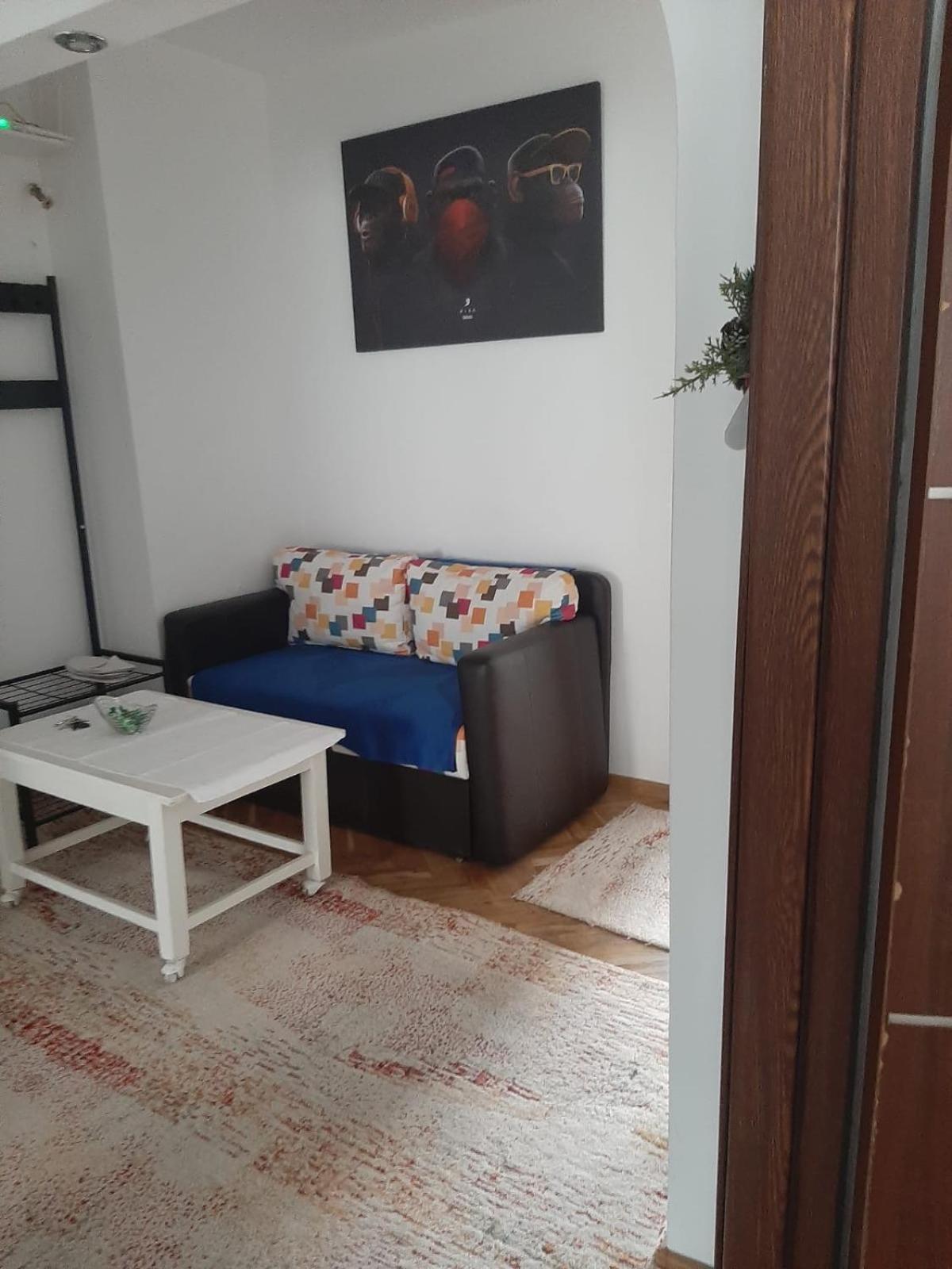 Mari&Vio Apartment 클루지나포카 외부 사진